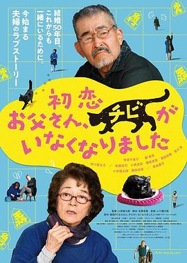 fsdss-065